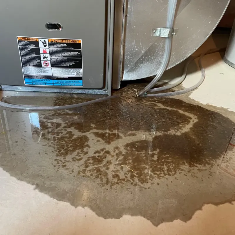 Appliance Leak Cleanup in Beaver, UT