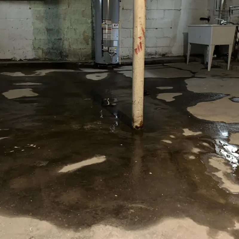 Emergency Water Extraction And Removal in Beaver, UT